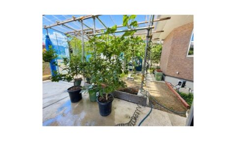 滋賀県高島市マキノ町西浜の眺望・周辺環境